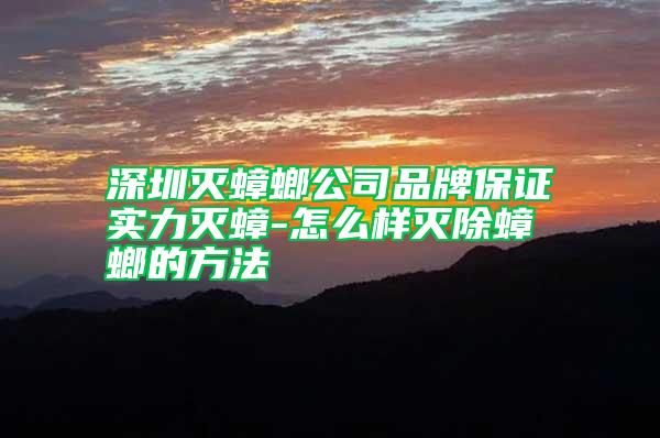 深圳滅蟑螂公司品牌保證實(shí)力滅蟑-怎么樣滅除蟑螂的方法