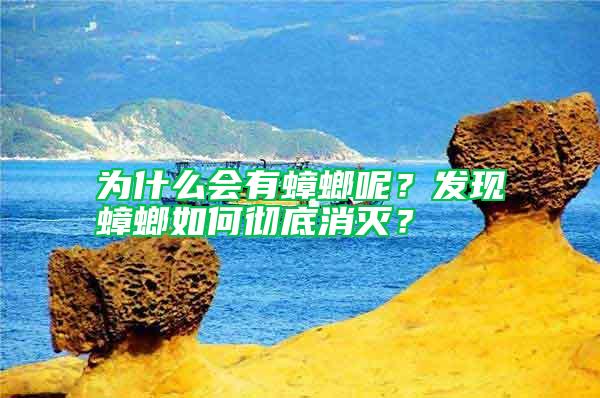 為什么會有蟑螂呢？發(fā)現(xiàn)蟑螂如何徹底消滅？