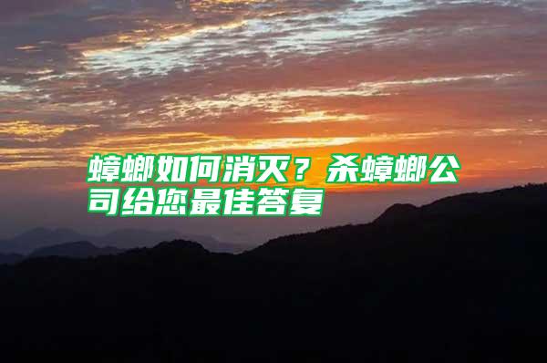 蟑螂如何消滅？殺蟑螂公司給您最佳答復