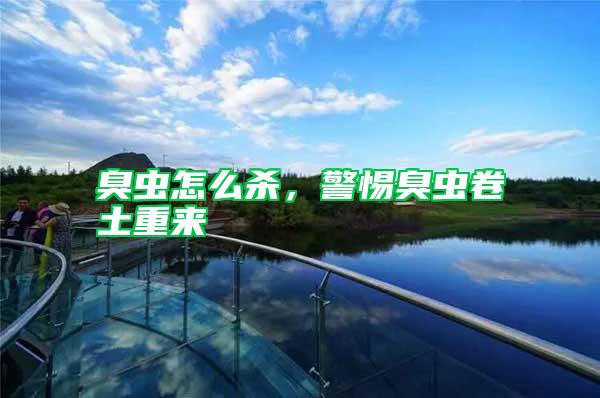 臭蟲怎么殺，警惕臭蟲卷土重來