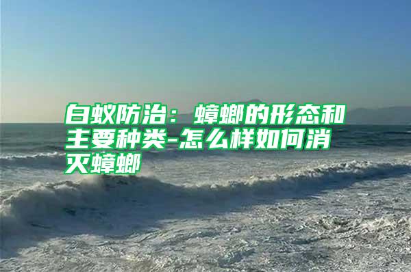 白蟻防治：蟑螂的形態(tài)和主要種類-怎么樣如何消滅蟑螂