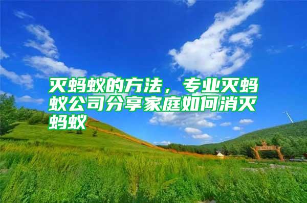 滅螞蟻的方法，專業滅螞蟻公司分享家庭如何消滅螞蟻