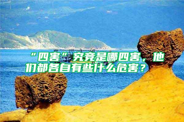 “四害”究競(jìng)是哪四害，他們都各自有些什么危害？