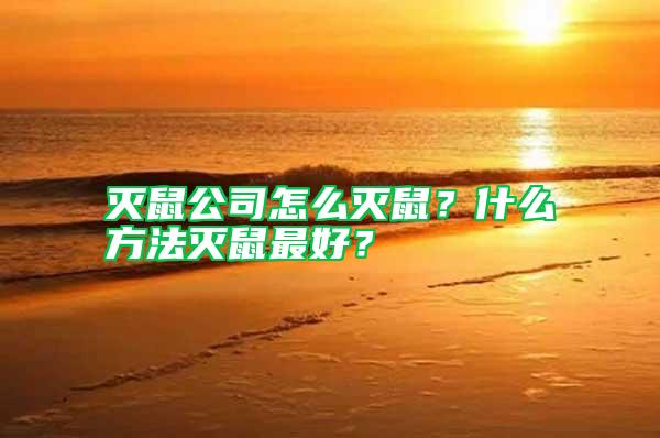 滅鼠公司怎么滅鼠？什么方法滅鼠最好？
