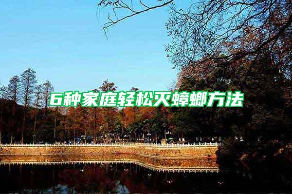 6種家庭輕松滅蟑螂方法