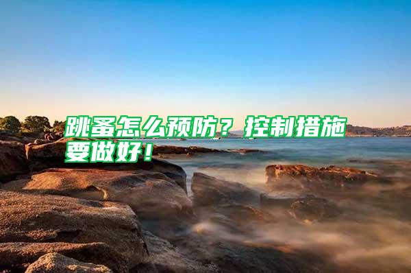 跳蚤怎么預防？控制措施要做好！