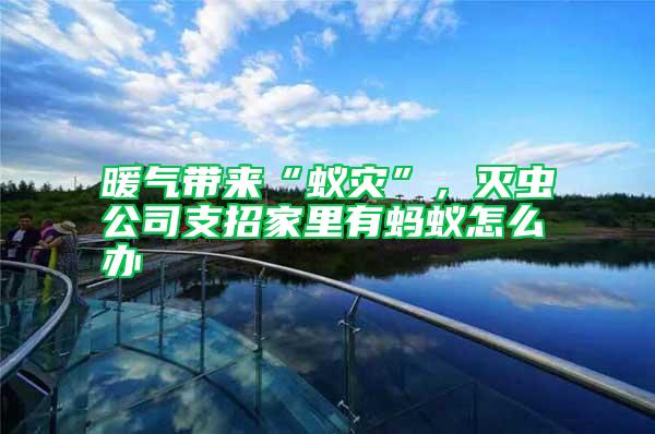 暖氣帶來“蟻災”，滅蟲公司支招家里有螞蟻怎么辦
