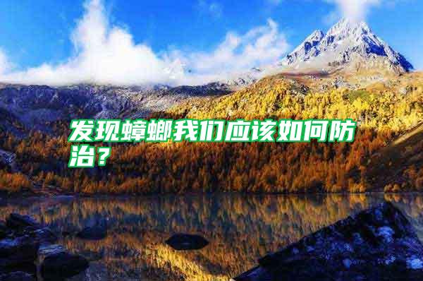 發(fā)現(xiàn)蟑螂我們應(yīng)該如何防治？