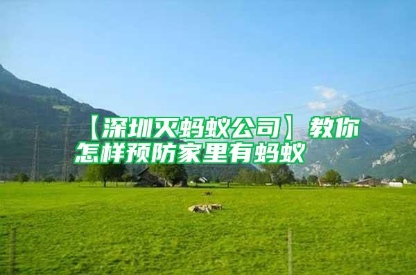 【深圳滅螞蟻公司】教你怎樣預(yù)防家里有螞蟻