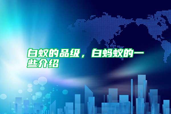 白蟻的品級(jí)，白螞蟻的一些介紹
