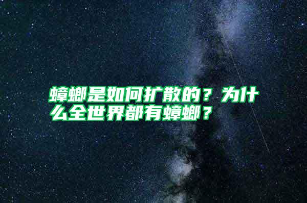 蟑螂是如何擴散的？為什么全世界都有蟑螂？
