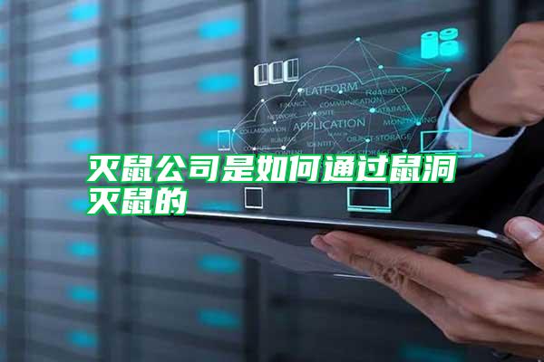 滅鼠公司是如何通過(guò)鼠洞滅鼠的