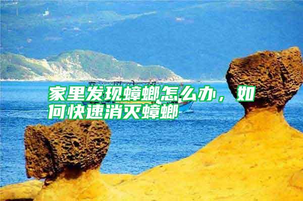 家里發(fā)現(xiàn)蟑螂怎么辦，如何快速消滅蟑螂