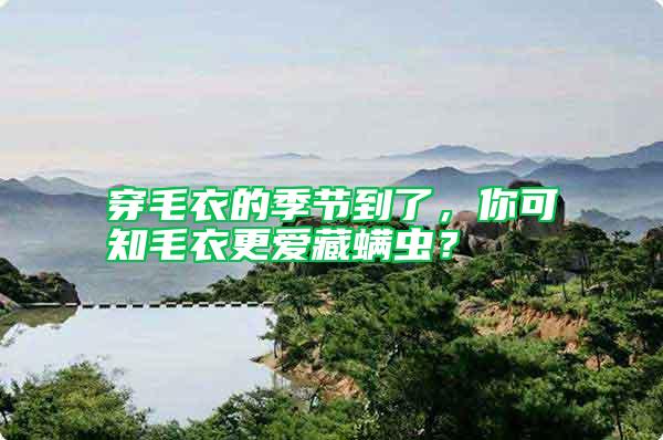 穿毛衣的季節到了，你可知毛衣更愛藏螨蟲？