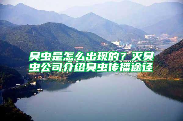 臭蟲是怎么出現的？滅臭蟲公司介紹臭蟲傳播途徑