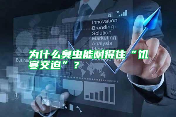 為什么臭蟲能耐得住“饑寒交迫”？