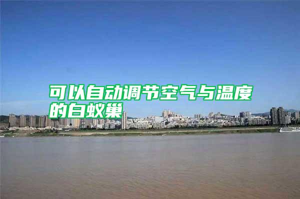 可以自動調(diào)節(jié)空氣與溫度的白蟻巢