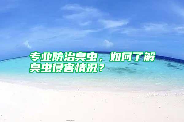 專業防治臭蟲，如何了解臭蟲侵害情況？