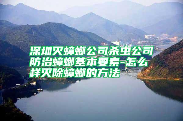 深圳滅蟑螂公司殺蟲公司防治蟑螂基本要素-怎么樣滅除蟑螂的方法