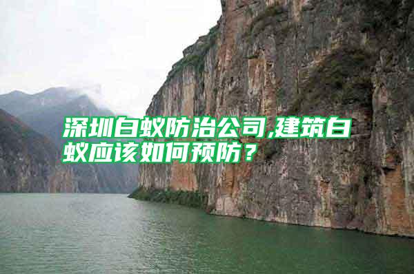 深圳白蟻防治公司,建筑白蟻應該如何預防？