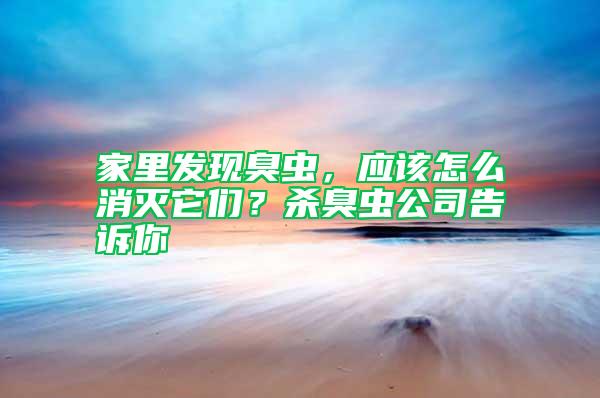 家里發(fā)現(xiàn)臭蟲，應(yīng)該怎么消滅它們？殺臭蟲公司告訴你