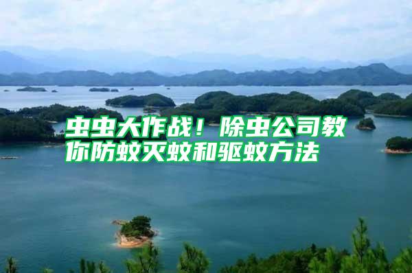 蟲蟲大作戰！除蟲公司教你防蚊滅蚊和驅蚊方法