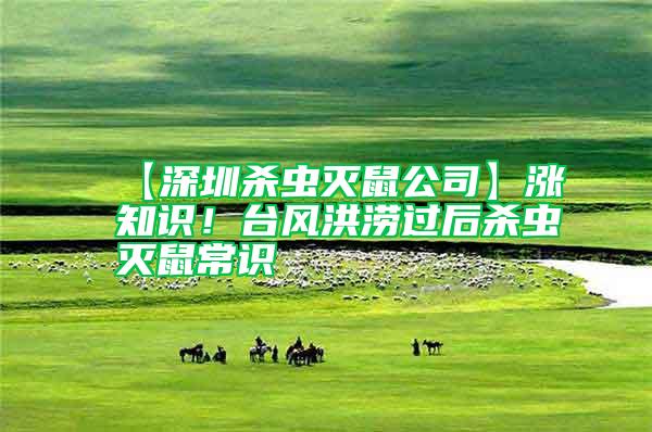 【深圳殺蟲滅鼠公司】漲知識！臺風洪澇過后殺蟲滅鼠常識