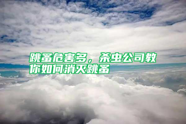 跳蚤危害多，殺蟲公司教你如何消滅跳蚤