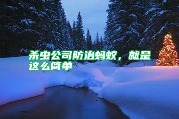 殺蟲公司防治螞蟻，就是這么簡單