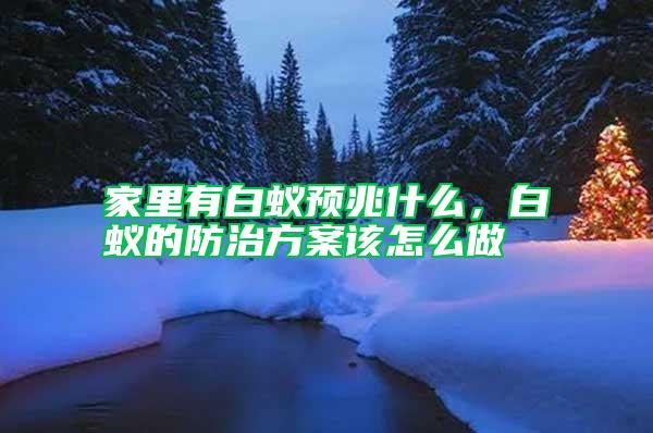 家里有白蟻預兆什么，白蟻的防治方案該怎么做