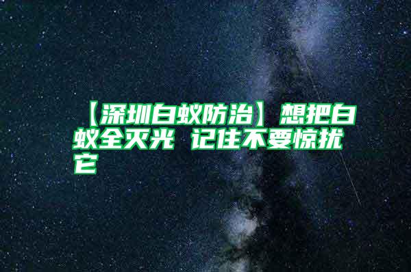 【深圳白蟻防治】想把白蟻全滅光 記住不要驚擾它