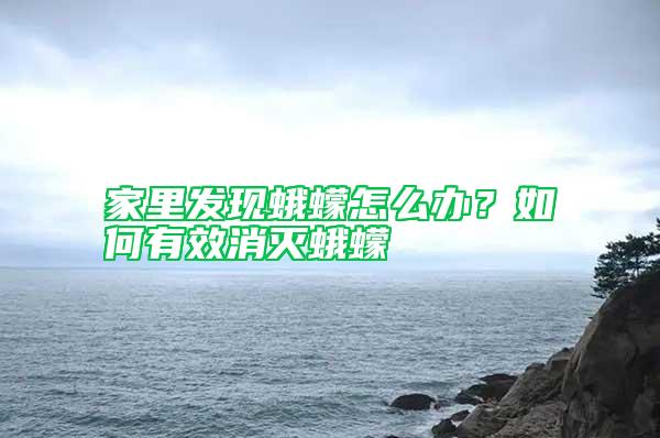 家里發(fā)現(xiàn)蛾蠓怎么辦？如何有效消滅蛾蠓