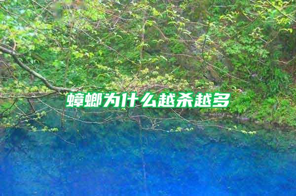 蟑螂為什么越殺越多