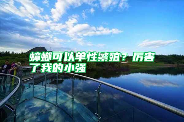 蟑螂可以單性繁殖？厲害了我的小強