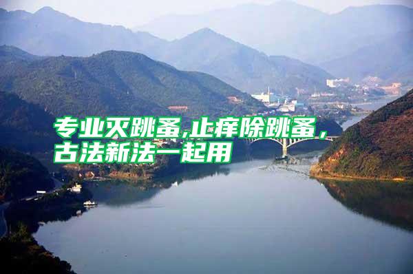 專業滅跳蚤,止癢除跳蚤， 古法新法一起用