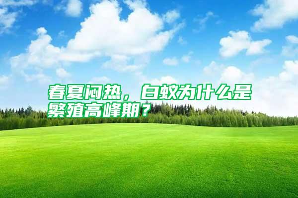 春夏悶熱，白蟻為什么是繁殖高峰期？