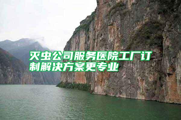 滅蟲公司服務醫院工廠訂制解決方案更專業