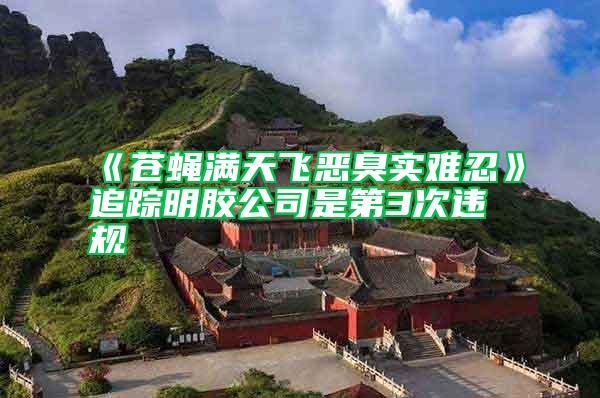《蒼蠅滿天飛惡臭實難忍》追蹤明膠公司是第3次違規