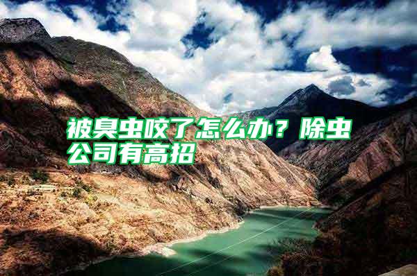 被臭蟲(chóng)咬了怎么辦？除蟲(chóng)公司有高招