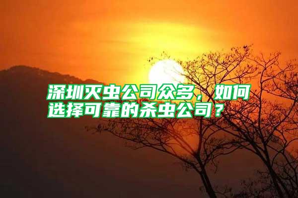 深圳滅蟲公司眾多，如何選擇可靠的殺蟲公司？