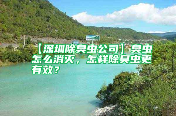 【深圳除臭蟲公司】臭蟲怎么消滅，怎樣除臭蟲更有效？