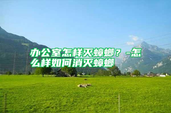 辦公室怎樣滅蟑螂？-怎么樣如何消滅蟑螂