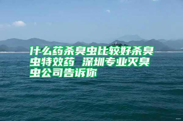 什么藥殺臭蟲比較好殺臭蟲特效藥 深圳專業滅臭蟲公司告訴你