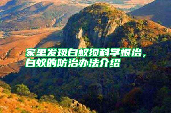 家里發(fā)現(xiàn)白蟻須科學(xué)根治，白蟻的防治辦法介紹