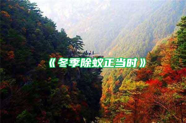 《冬季除蟻正當(dāng)時(shí)》