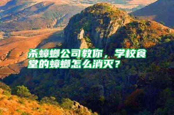 殺蟑螂公司教你，學(xué)校食堂的蟑螂怎么消滅？