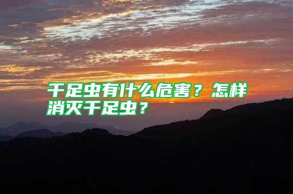 千足蟲有什么危害？怎樣消滅千足蟲？
