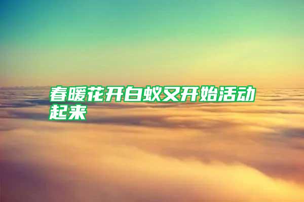 春暖花開(kāi)白蟻又開(kāi)始活動(dòng)起來(lái)