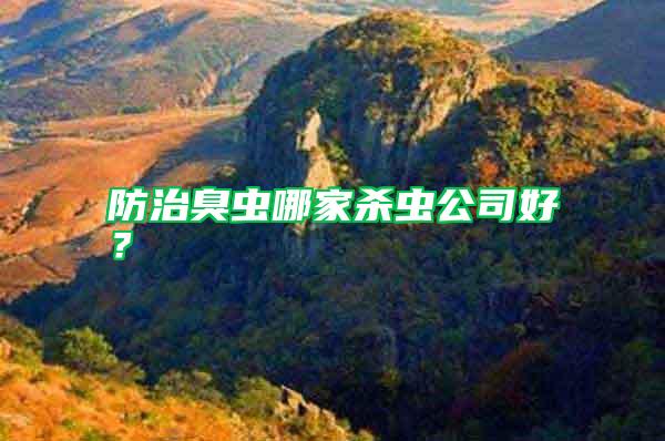 防治臭蟲哪家殺蟲公司好？