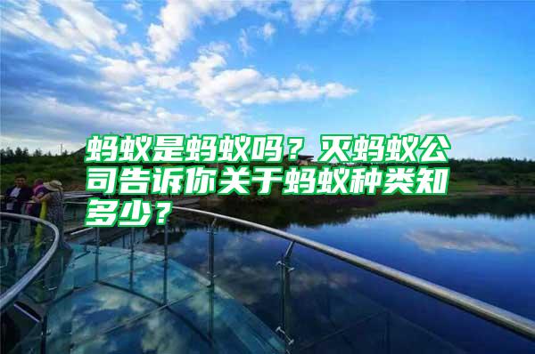 螞蟻是螞蟻嗎？滅螞蟻公司告訴你關(guān)于螞蟻種類知多少？